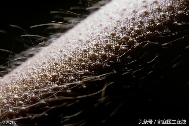 长了像鸡皮疙瘩一样的特别痒