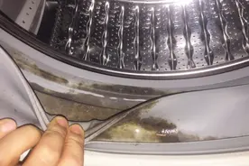 比马桶还要脏100倍的电器，家中有害菌滋生密室，看完忍不住了视频封面