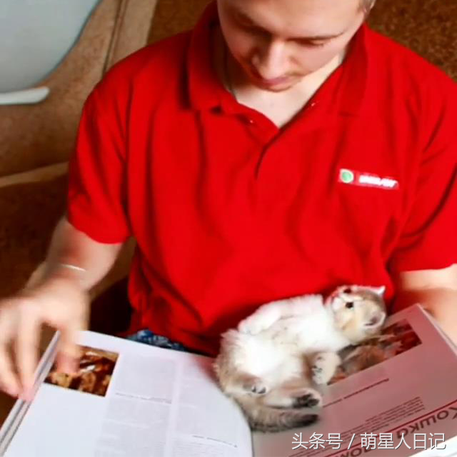 ΪӰСèϲ˿飬ԭֻ·˶