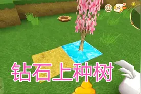 迷你世界在钻石上种桃花树 长不大啊！
