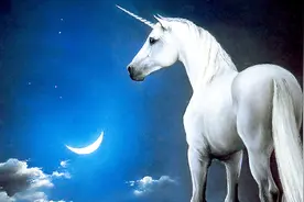 独角兽企业太牛了，华为公司都不符合条件，它们到底厉害在哪儿？视频封面