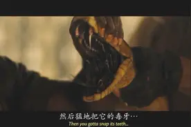 小伙演绎徒手拔蛇牙视频封面