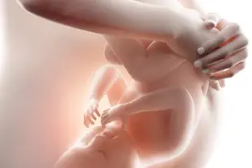 弓形虫病对胎儿有哪些危害？