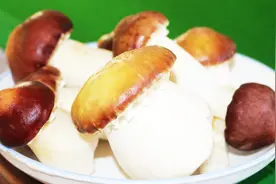 云茸——云南特色美食视频封面