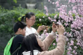 微信的识花功能，碰到不认识的花花草草，拍张照片就跳出名字视频封面