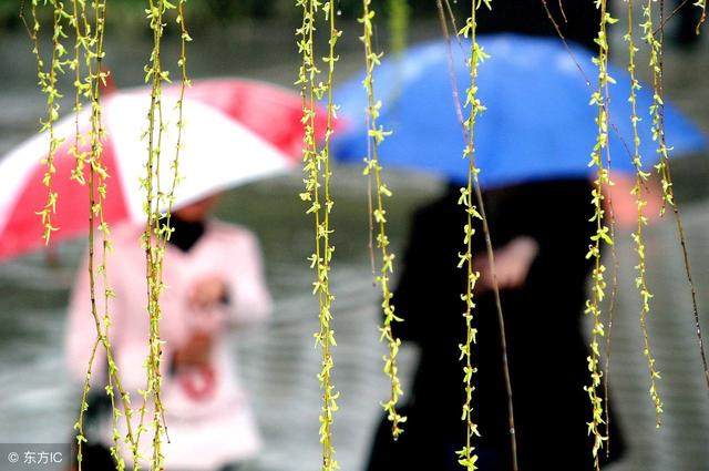 荐读| 春雨如酥报春归