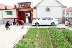 烟台莱州：农村不比城市差 田园生活祥和惬意，你会选择回来吗？