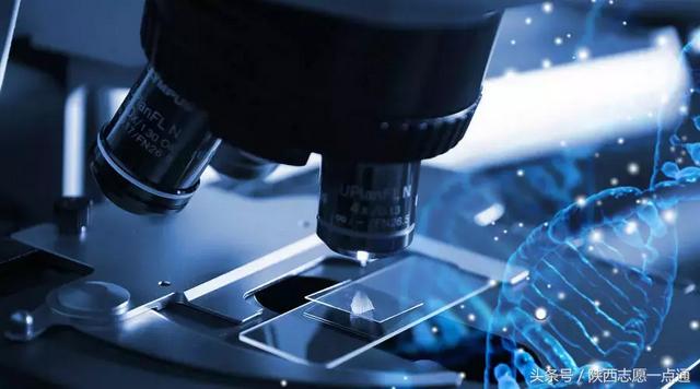 高考生物：DNA知识点汇总及解析