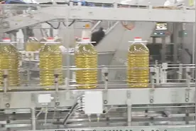 一瓶油到底能存放多久？大多数人都没注意，结果吃出病！