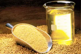 中国一年要吃掉多少油？这下终于明白以前为啥要从美国进口大豆了