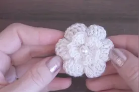 DIY立体钩针花朵教程，适合初学者，喜欢钩针的不要错过视频封面
