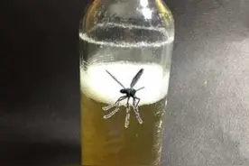 夏天蚊子最怕“它”，只需要简单一个可乐瓶，轻轻松松消灭蚊子图片