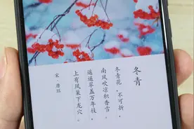 教你打开微信的识花功能，只需轻轻一扫，就能知道花草的名字视频封面