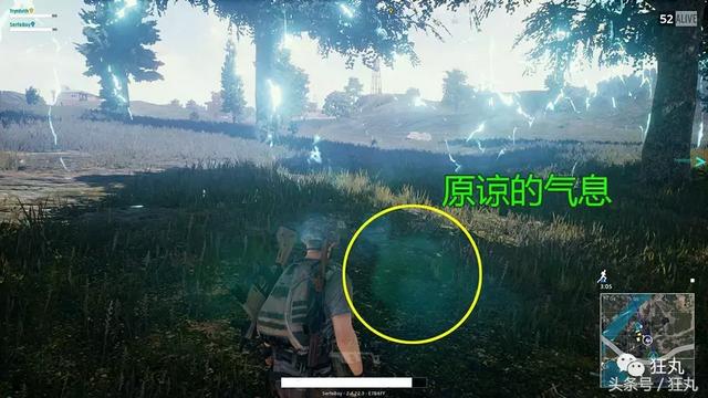 吃鸡皮肤毒性 吃鸡皮肤毒性