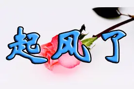 抖音和火山小视频最热门的歌曲《起风了》