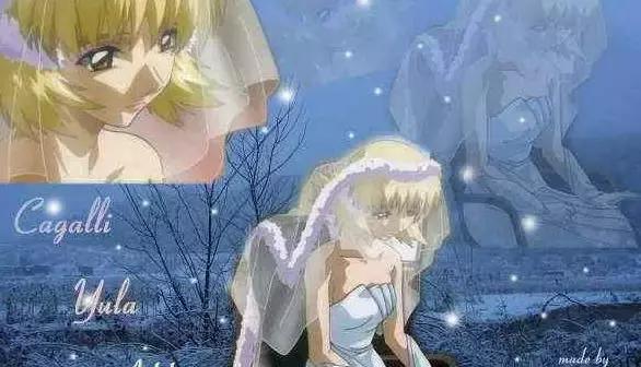˿ΣߴʮŮ񡱣SEEDϵа԰