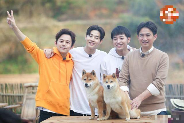 陶虹吐槽现任,"前夫"表现欲强烈,徐峥无奈"躺枪"(何炅陶虹爱的证明)