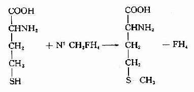 中考生物知识点记忆口诀（一）