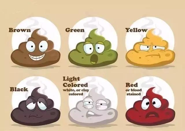 腹泻、便秘、消化不良?如何通过宝宝大便了解宝宝健康?