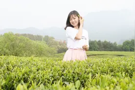 浙大美女毕业生辞去杭州IT公司HR 到遂昌山沟开两家民宿视频封面