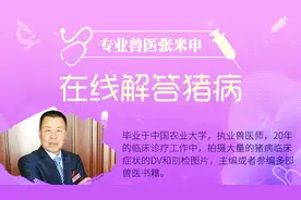 猪气喘病的治疗，首选药；断奶仔猪消瘦的治疗