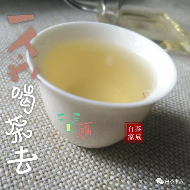 春白茶有何等魅力，惹万千茶友折腰？