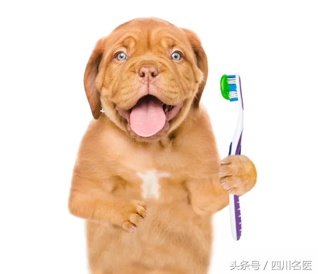 黏膜角化脱落