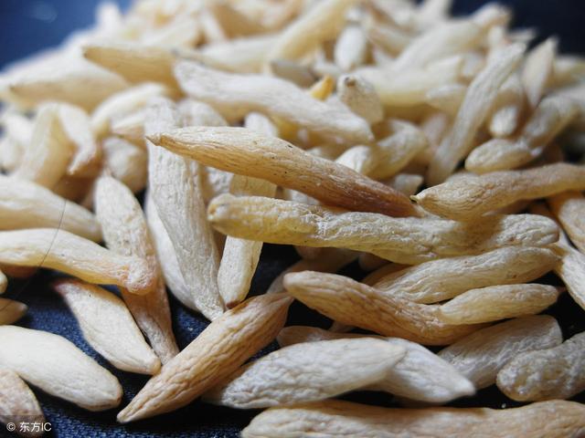 中医宝典：“麦冬”，养阴润肺，益胃生津