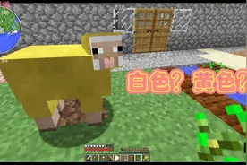 我的世界17集：获取有色羊毛的聪明方法
