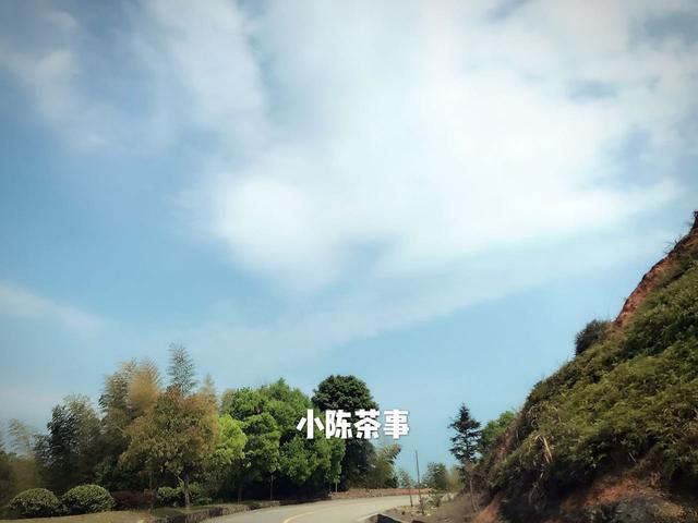 香、纯净、醇厚、清甜、柔和，挑选白茶的五大要诀，请收藏！