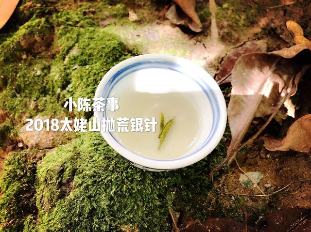 香、纯净、醇厚、清甜、柔和，挑选白茶的五大要诀，请收藏！