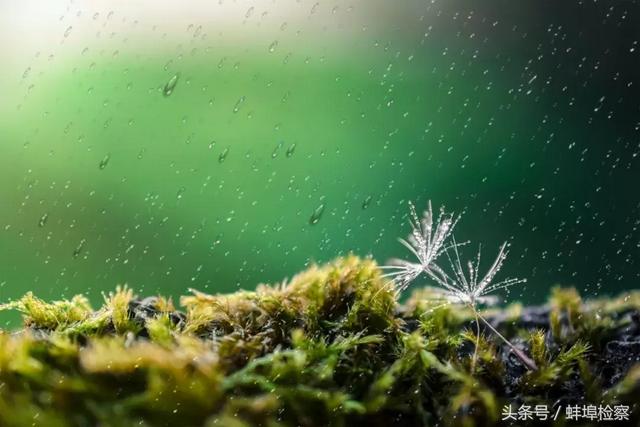 十首励志诗词，不负青春，不负自己