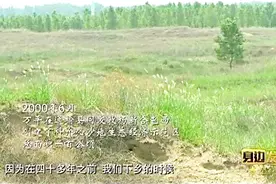 他用13年时间 把科尔沁草原从沙漠变回绿洲