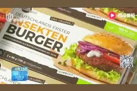 媒体大搜索完整版 “蠕虫汉堡”你敢吃吗？高蛋白高营养！视频封面