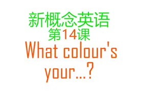 新概念英语第14课！实用英语口语对话：What colours's your!视频封面