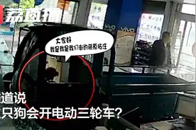 无人三轮车冲进手机店 肇事“司机”竟是一条狗？视频封面