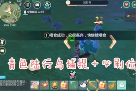 青色陆行鸟捕捉加必刷位置创造与魔法安稳解说视频封面