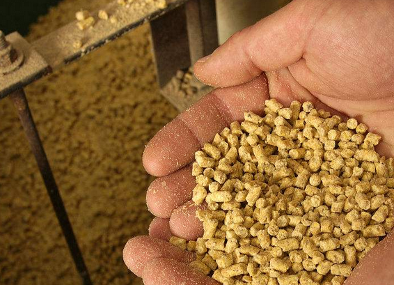 网上流传的各种能喂鸡吃的东西，养鸡户能信吗？