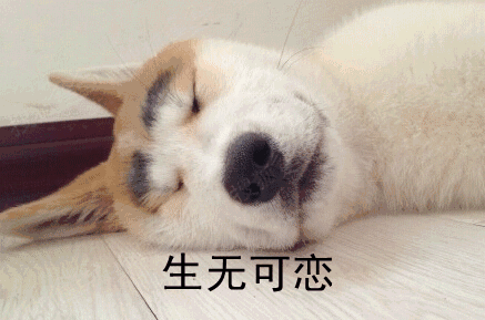 石家庄一季度白领平均月薪5622元，你拖后腿了吗？