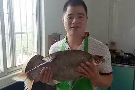 6斤野生大鳊鱼，这样做肉滑汁美，没有腥味，详细的步骤告诉你视频封面