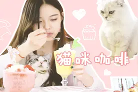 粉色少女系猫咖约不约？小姐姐带你吸猫，12只软萌猫咪等你来撸！