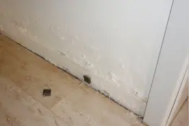 室内有霉味怎么办呢？教你一招，把它放在房间里即可快速去除霉味视频封面