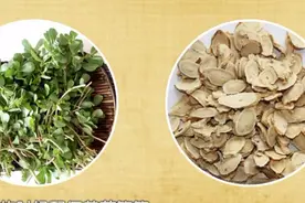 很多人爱吃马齿苋，但是马齿苋的具体功效很多人都不知道！