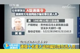 A级通缉令！公安部通缉这十名在逃重大盗抢骗犯罪视频封面