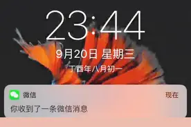 前男友发来好友申请，我该怎么办视频封面