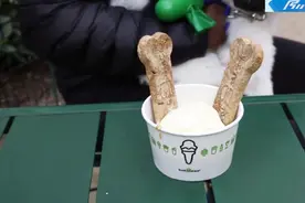 给汪星人吃的冰淇淋？国外的铲屎官们都抢疯了！你会给狗狗吃吗？视频封面