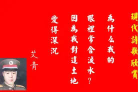 现代诗歌欣赏-艾青《给太阳》视频封面