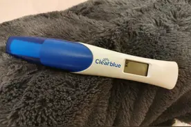 可丽蓝电子验孕棒怎么用图片