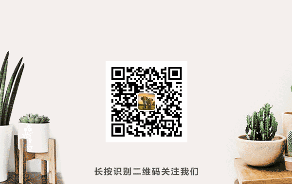 肠内营养制剂成分参数对照表