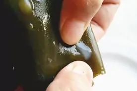 海带长“脓包”！到底还能不能吃？听听专家怎么说视频封面